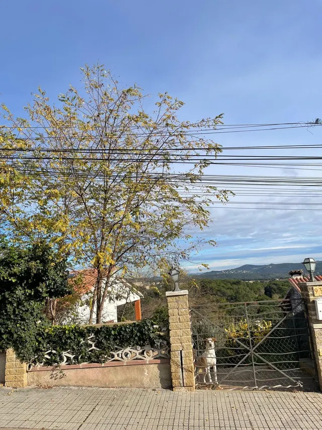 ¡¡Oportunidad de Inversión!! CHALET EN FOGARS DE LA SELVA (B - foto 2