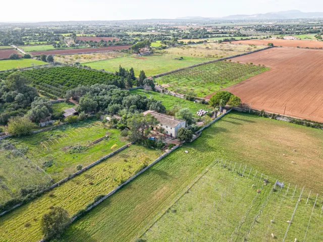 Magnifica finca rústica en la zona de Porreres. - foto 2