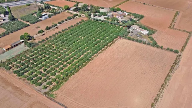 FINCA DE 37.000 M2 CON 3 VIVIENDAS DE MAS DE 700 M2 - foto 5