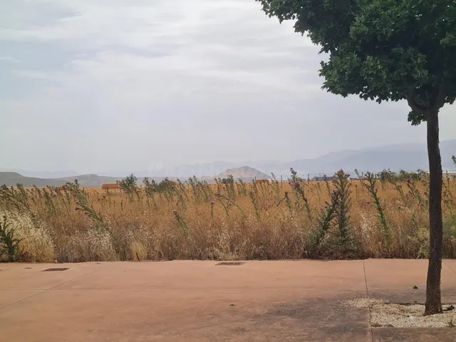 Terreno en venta en Escuzar Parque Industrial Metropolitano - foto 2