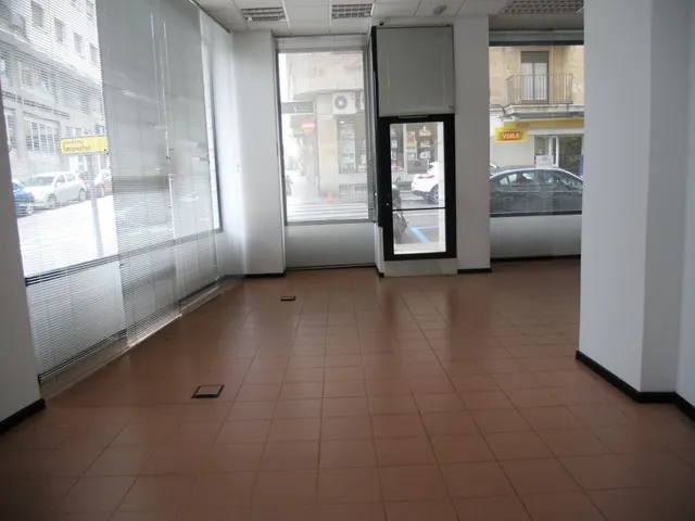 ESTUPENDO LOCAL COMERCIAL AL LADO DE LA GRAN VIA Y PASEO CANALEJAS — 2