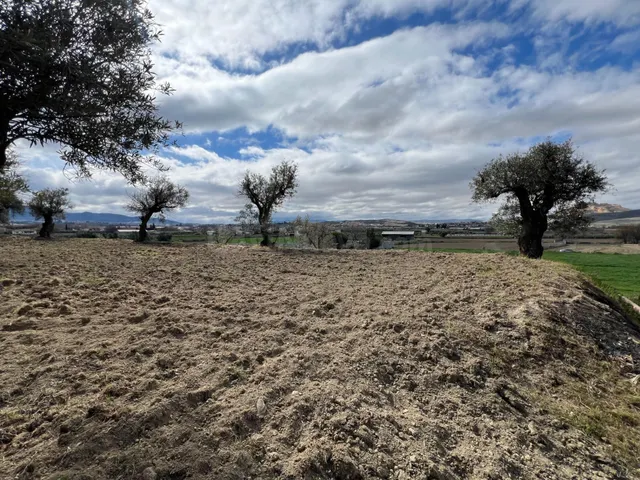 Un rincón de paz y futuro en Alhendín (SOLAR URBANIZABLE) — 4