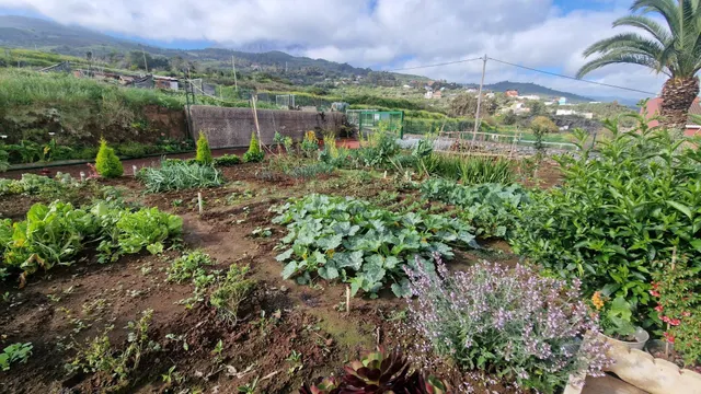 Casa con precioso terreno de cultivo, varias terrazas, garaj - foto 3