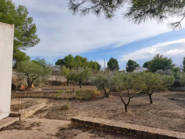 Terreno Rural en Almansa - San José a un Precio Inmejorable — 9