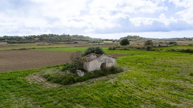 Parcela rústica con proyecto en muro — 11
