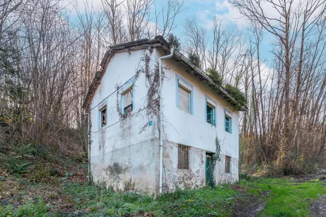 Oportunidad real: casa con parcela para rehabilitar en Tineo — 13
