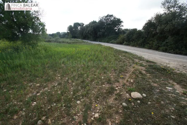 FINCA RUSTICA UBICADA EN ALGAIDA CON PROYECTO Y LICENCIA (CA - foto 2