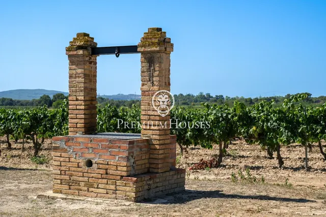 Masia con viñedos en Alt Penedés - foto 5