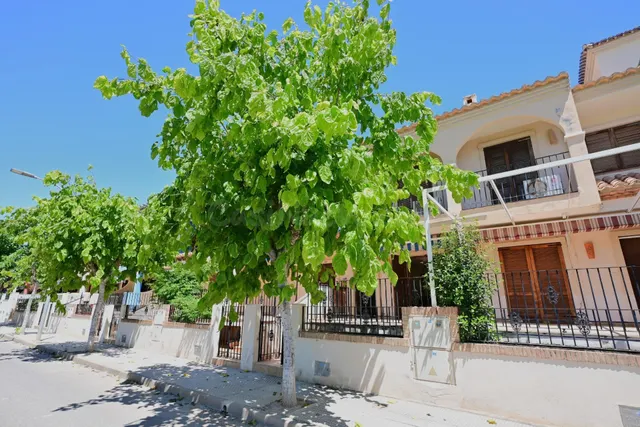 SE VENDE DUPLEX EN LOS NAREJOS A SOLO 120 METROS DE PLAYA LA - foto 5