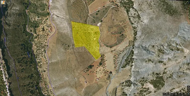 Magnífica finca de 400 olivos en Monachil — 34