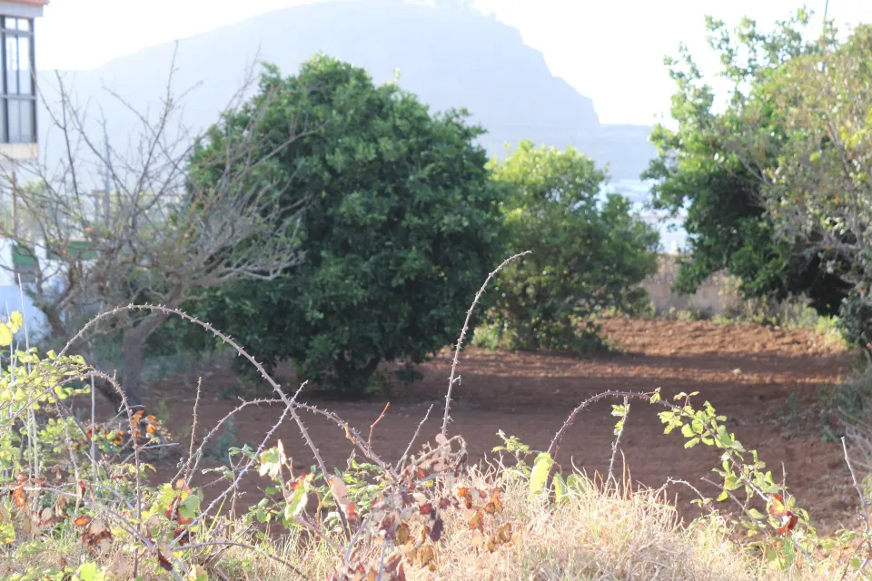 SOLAR URBANO CON FINCA RUSTICA