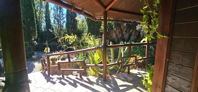 Finca rústica en Alcolea del Río con piscina, placas solares y 5.000 m2 — 19
