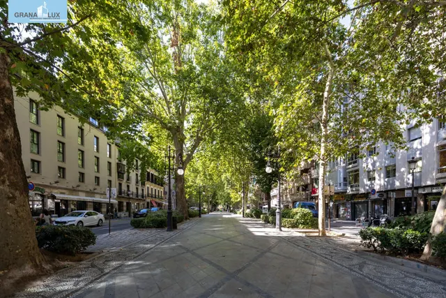 Piso y cochera en venta junto Acera de Darro. — 43