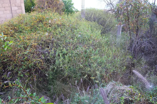 TERRENO URBANO EN EL SOBRADILLO, SANTA CRUZ DE TENERIFE — 10