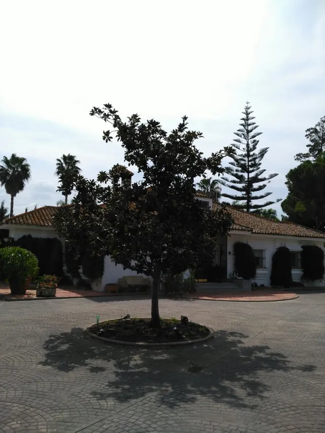 FANTÁSTICO CHALET EN LA JARA — 15