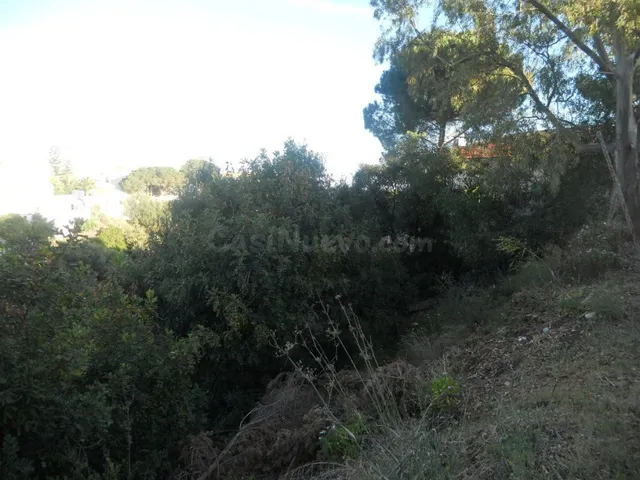 Parcela urbana para chalet independiente o casas pareadas