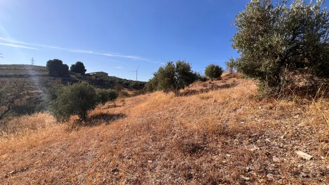 Oportunidad agrícola: Finca rústica de 2.400 m2 con olivos y almendros en producción — 10