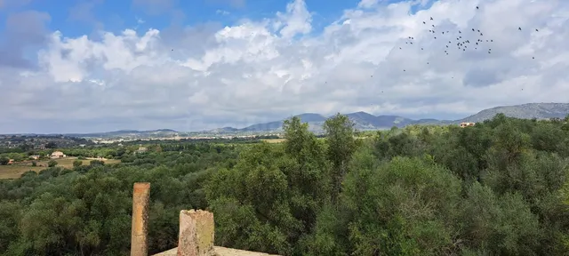 Finca rústica 8 habitaciones 1400m² en venta - Sant Llorenç  - foto 3