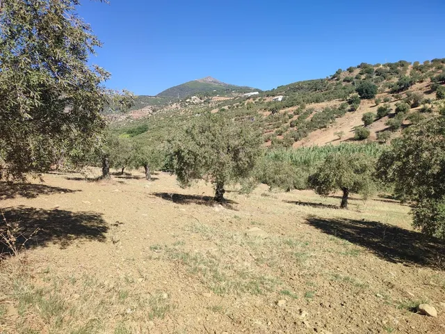 Parcela en venta - South of spain — 16