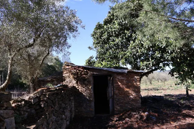 MASIA EN VILAFAMES CON TERRENO — 33