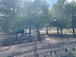 Venta de Casa Independiente con parcela en Yecla - foto 3