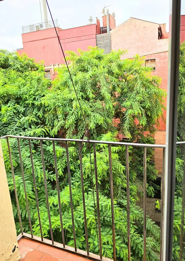Apartamento - Barcelona (Ciutat Vella / El Raval) — 20