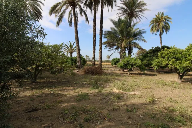 SE VENDE CASA DE CAMPO CON 42.000 M2 DE PARCELA. — 44