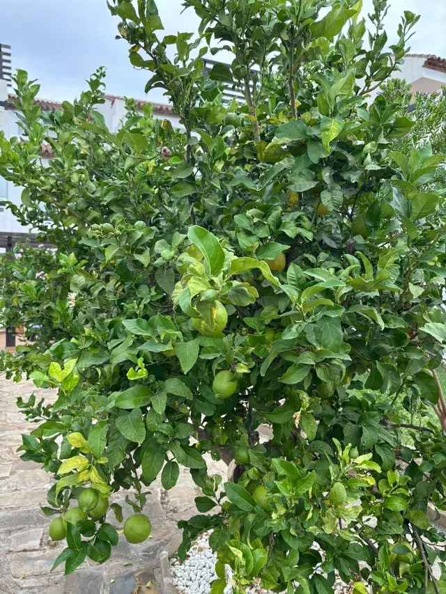 En venta adosado en Casares Golf, zona exclusiva — 29