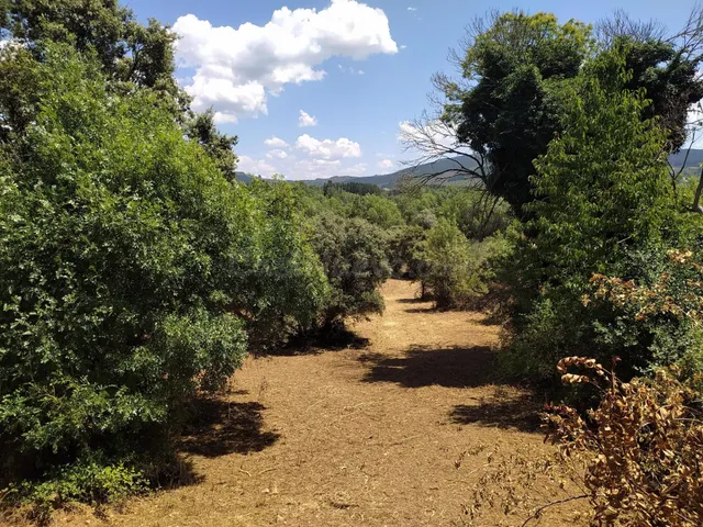 VENTA DE FINCA URBANA EN CUBILLOS DEL SIL — 2