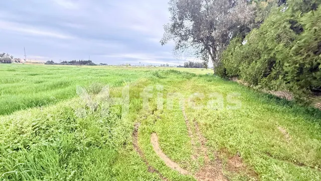 Suelo urbano no consolidado de 16.893 m2 en Utrera – oportun - foto 5