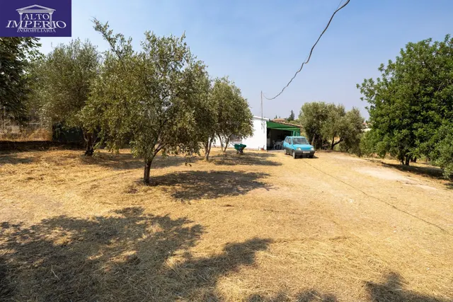 Encanto rústico con casita y olivos en Moraleja de Zafayona 🌿 — 2