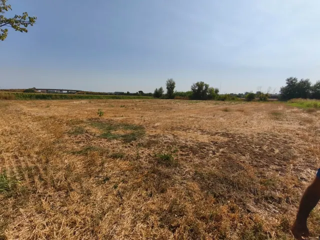 Fincas rústicas en Lleida – venta conjunta — 7