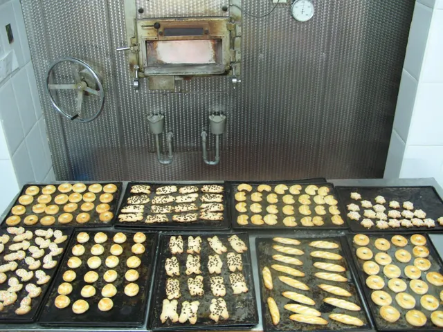 TRASPASO DE HORNO  BOLLERÍA  EN EL BOTANIC — 40
