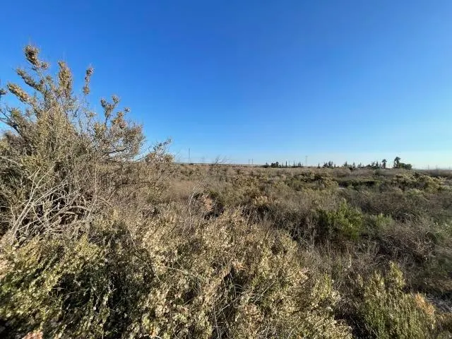 Terreno rural en venta - CAÑADA JUANA - foto 2