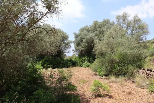 MASIA RUSTICA EN DOS HECTAREAS DE TERRENO ZONA POU DE BECA — 31