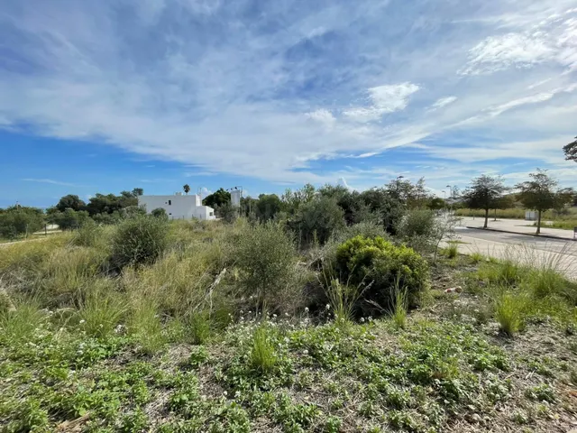 SUELO URBANO EN ALCANAR ( LES CASES D'ALCANAR)