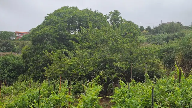 !!OPORTUNIDAD!! TINERCASA TIENE DISPONIBLE EN RAVELO, EL SAU - foto 2