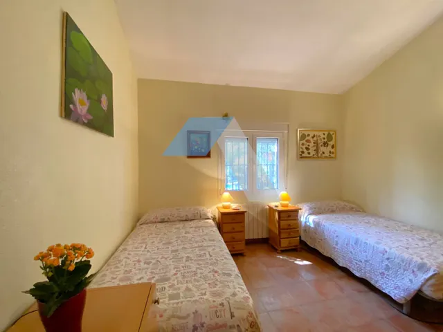 Chalet independiente con piscina en gran parcela rústica, rodeado de pinos y olivos – A menos de 1 km del Polideportivo Municipal de San Vicente del Raspeig — 31