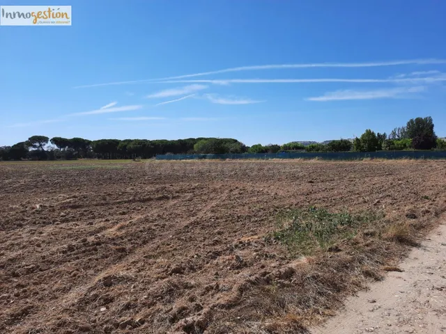TERRENO RÚSTICO EN VENTA EN TUDELA DE DUERO (VALLADOLID) - foto 5