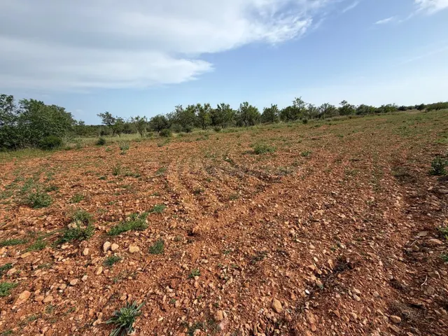 Terreno rural en venta - Comunidad valenciana - foto 2