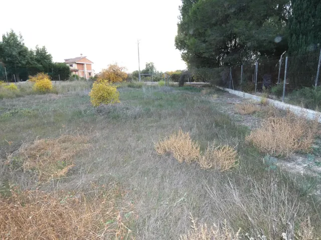 +NO ES SOLO UN TERRENO. ES UN CAMBIO DE VIDA. EN LA LOMA TORRES DE COTILLAS+ — 9