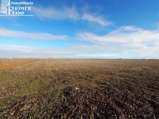 Se venden 10,4 de hectareas de tierra blanca en el termino d - foto 5