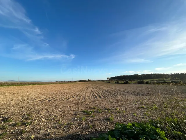 Finca rústica en Porreres en venta - foto 5