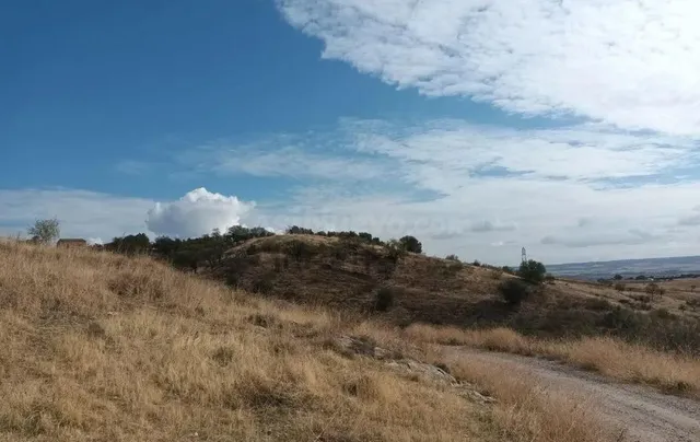 Terreno rural en venta - El Molar - foto 5