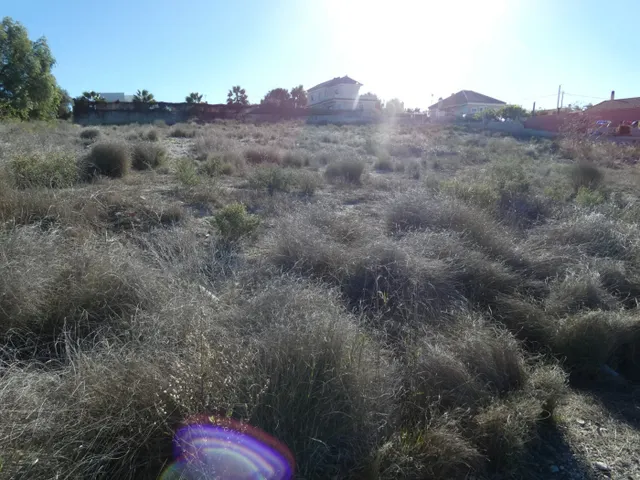 ++Terreno no urbano en Molina de Segura zona El romeral++, 2000 m. — 4