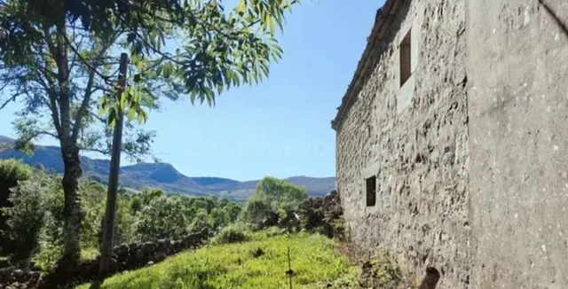 finca rustica - foto 5