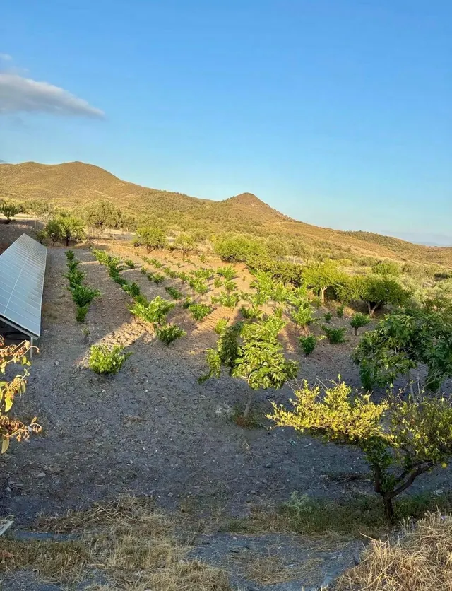 Finca agrícola y ganadera de 25.000 m2 con pozo propio, placas solares y plantación en producción en Gérgal — 26