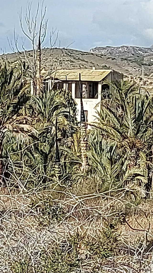 terreno para construir chalet
