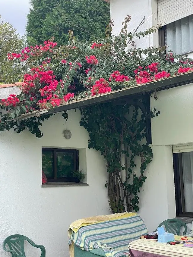San Isidro. Finca 5.600M con Vivienda familiar — 22