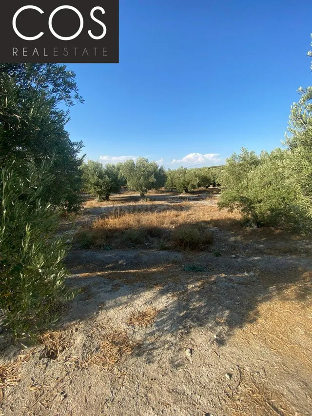 Parcela 40m² en venta - Urbanizacion azahar — 5